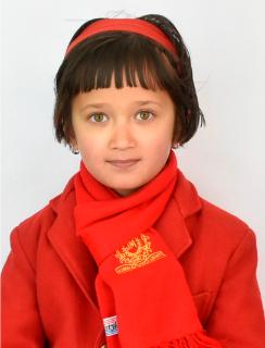 CJM-Shimla