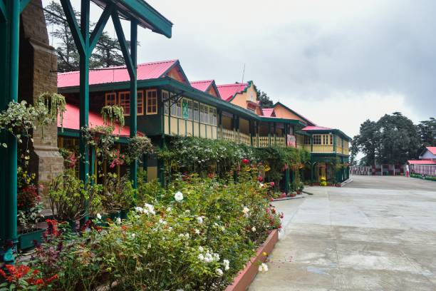 CJM-Shimla