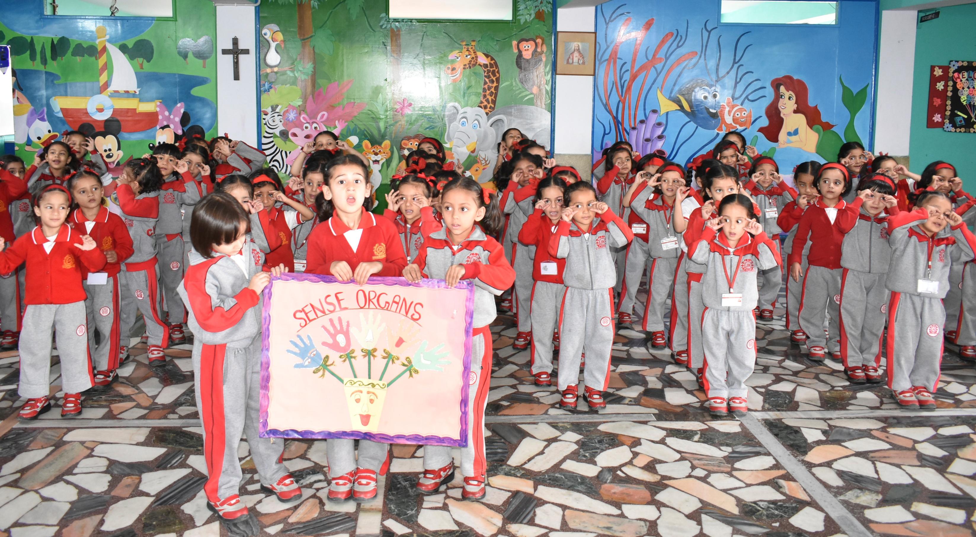 SENSE ORGANS ACTIVITY – NURSERY